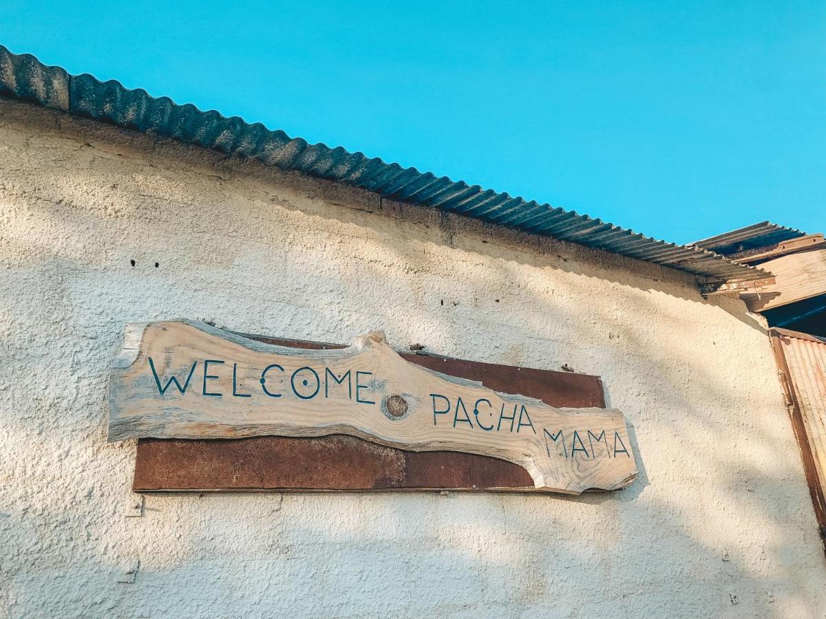 Be A Guest At Pachamama Community Apartment Alcacer do Sal Luaran gambar